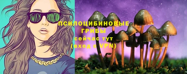 спиды Саяногорск