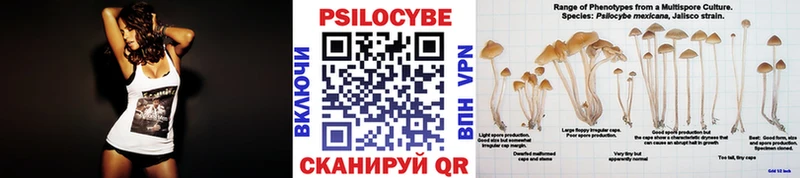 Псилоцибиновые грибы MAGIC MUSHROOMS  OMG ссылки  Торжок 